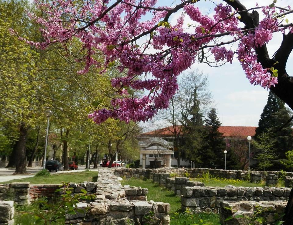 Апартамент 13 Hisarya Buitenkant foto